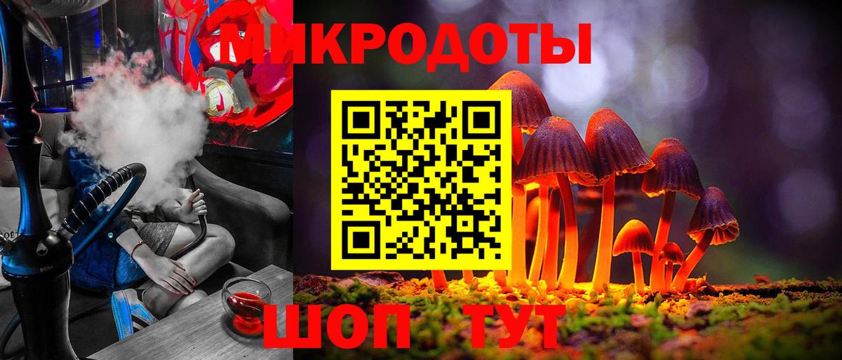 Димитровград  Псилоцибиновые грибы прущие грибы  Вход с VPN 