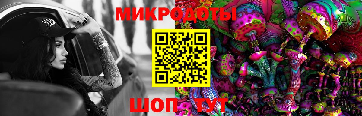 Галлюциногенные грибы прущие грибы Димитровград